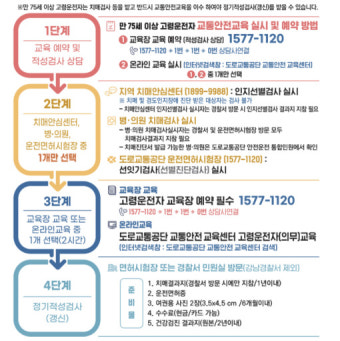 시청역 참사, 나이 논란 '시끌'…'실차주행' 없는 국내 고령운전자 면허제