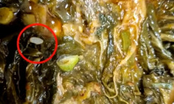 밥알이 콕콕…해장국 뼈다귀도 재활용? 밥 안 먹었는데 당황