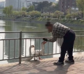 건국대 마스코트 거위 건구스 때린 60대 남성 재판행