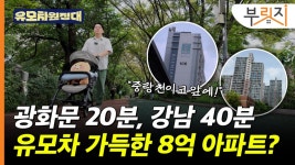 단지 안에 어린이집만 8곳…신생아 특례 된다 애 키우기 좋은 이곳[부릿지]
