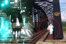 [더영상] ①철로 위 민폐 웨딩 촬영 ②가로수에 깔리고도 멀쩡 ③검은 옷 입고 차도 역행