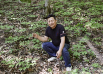 국내 유일 특별관리임산물 산양삼 해외 진출 넓힌다