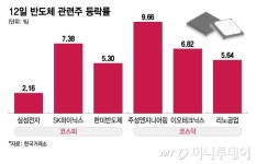 젠슨 황 한마디에 반도체주 환호…힘 못쓰던 삼전·SK하이 깜짝 반등