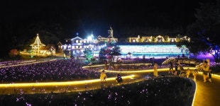 포천 허브아일랜드, 핑크뮬리 축제 11월까지 진행