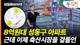 마용성 역세권 아파트가 8억원대? 개발 호재까지 있는 이 동네[부릿지]