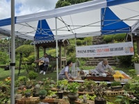 가을 여행, 저탄소·친환경 기차로 가볼까…충주·강릉·군산·경주 어때?