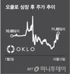원자력 없인 AI도 없다…많이 오른 원전주, 지금 사도 될까[오미주]