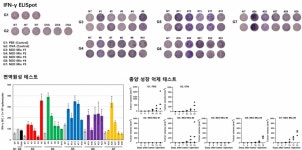 CG인바이츠, AI 맞춤형 항암백신 면역·항암 효과 입증