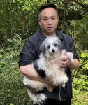 털 빠진 만신창이 개…알고 보니 2년간 죽은 주인 무덤 지켰다