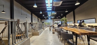 젖소 2마리로 시작한 농부…이젠 연매출 100억원대 축산기업