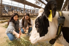 젖소 2마리로 시작한 농부…이젠 연매출 100억원대 축산기업