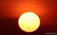 2025년 새해 시작…가장 먼저 해 뜨는 곳 어디?