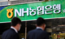100억원대 불법 대출…충주 농협은행 前지점장 등 일당 기소