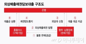 홈플러스 외담대 2000억 한도 막힌다…상환요구 받는 협력사들
