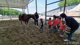 일선 학교로 간 승마교육…아이들이 달라 졌어요