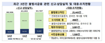 금감원 