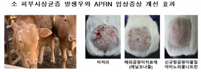수과원, 수산미생물 곰팡이 억제 물질 발굴