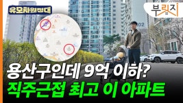 용산인데 9억 이하?…초교 코앞·마포역서 10분 이 아파트 가보니[부릿지]