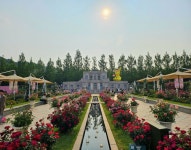 정원에 애프터눈티까지…에버랜드 40주년 장미축제 가보니