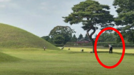 내물왕 무덤에서 일어나겠네…왕릉 잔디밭서 골프 연습