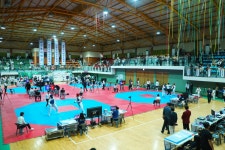 포천에 모인 세계 태권도 인재...경동대, 총장배 국제태권도대회 성료