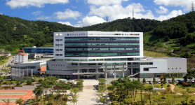 전남교육청, 무안·함평 지역 집중호우 대응 총력