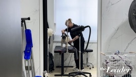 반려동물과의 동행, 서대문구 ‘내품애’ 안긴 행복