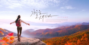 한국직업능력진흥원, 캘리그라피 자격증 무료수강 이벤트 제공