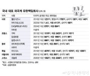 필요할 땐 한국회사, 불리하면 외국인...감사받지 않는 조단위 매출 기업