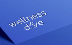 휴먼밸런스, 웰니스다이브 상표권 출원