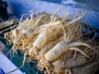 효심까지 녹아든 세계인의 금산 인삼 ‘금홍’