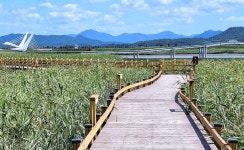 강진만 생태공원, 감성적인 빛과 예술적 미디어로 재탄생 기대