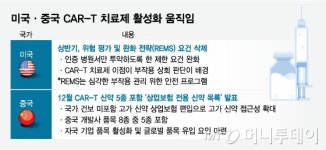 CAR-T 빗장 푸는 中, 틈 노리는 K바이오