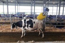 축산현장 저탄소 생산방식 확대…지속가능한 축산·온실가스 다 잡는다