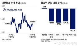 대일탑항공주 | 4천피에도 나홀로 저공비행...고환율 기류 갇혀 날개 꺾인 항공주
