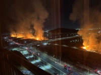 대피문자에 화들짝…울산 명촌교 인근 갈대밭 화재 인명피해 없어