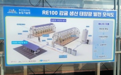 태양광 100%로 제주 감귤 키웠더니…국내 첫 RE100 농산물 [넷제로 케이스스터디]