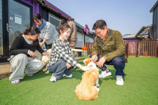 반려동물 비용 걱정 없이 맡긴다…동대문구 우리동네 펫위탁소 운영