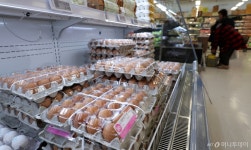 다음주 美 신선란 112만개 공급…홈플러스·메가마트서 한판 5790원