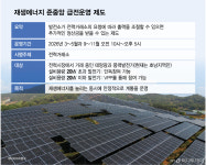 [단독]전기 넘치면 꺼야 했던 태양광 발전소…AI가 안정성·수익 다 잡았다