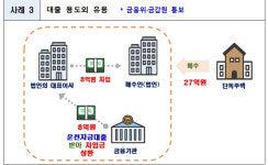 운전자금으로 용산 집 샀다…주택 공급지 이상 거래 346건 적발