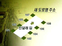새 주소체계 시행…지자체 준비 안돼 길 잃을라