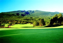 [골프장] 제주 한라산CC, 바다 바라보며 샷