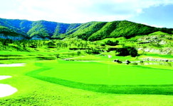 [골프장] 천안 버드우드GC, 호수위로 티샷 매력