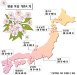 [명품 여행] 규슈에서 홋카이도까지 벚꽃비가  쏟아진다