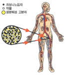 [알기 쉬운 과학] 융합기술이 우리 삶을 풍요롭게 한다