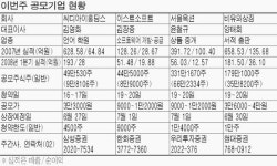 관심 교육주 이번주 공모