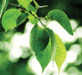 거여ㆍ마천뉴타운 `그린도시` 로 변모