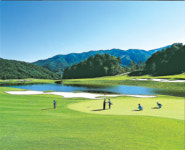 남부CC 회원권값 美 오거스타의 3배