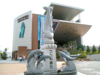 [전국은 지금] 장생포 고래야 놀자